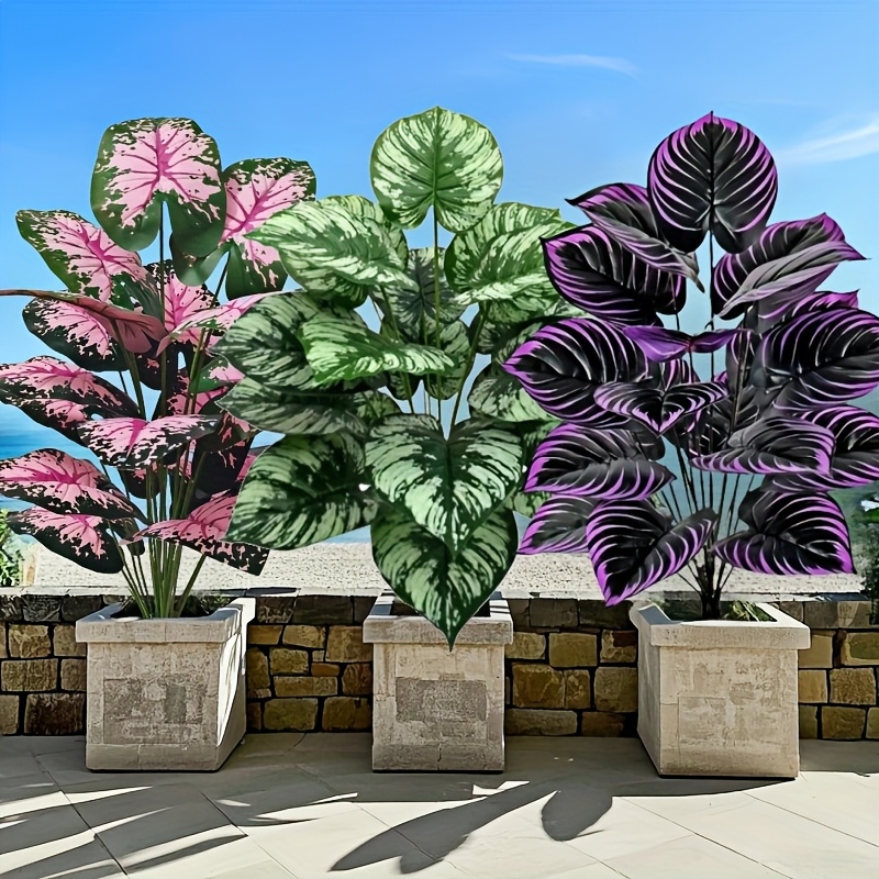Bonsai Garden Home - 3 pz 60 cm Grande Pianta
