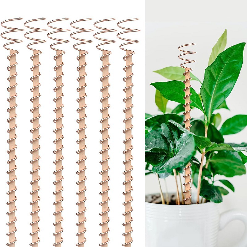 Copper Wire Roll - Pali per piante in rame per