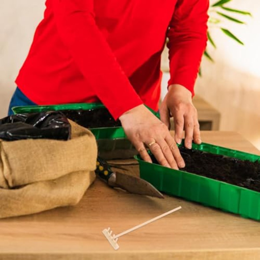 Set di Mini Rastrelli in Bambù - Mini Bonsai Zen Garden recensione e prezzo