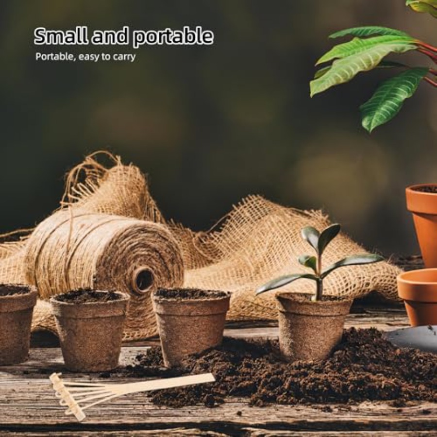 Set di Mini Rastrelli in Bambù - Mini Bonsai Zen Garden recensione e prezzo