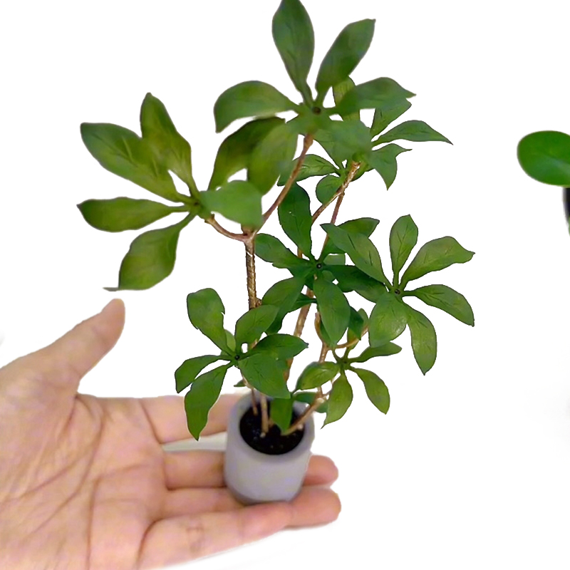 1:6 casa delle bambole in mini - Bonsai Garden Home recensione e prezzo