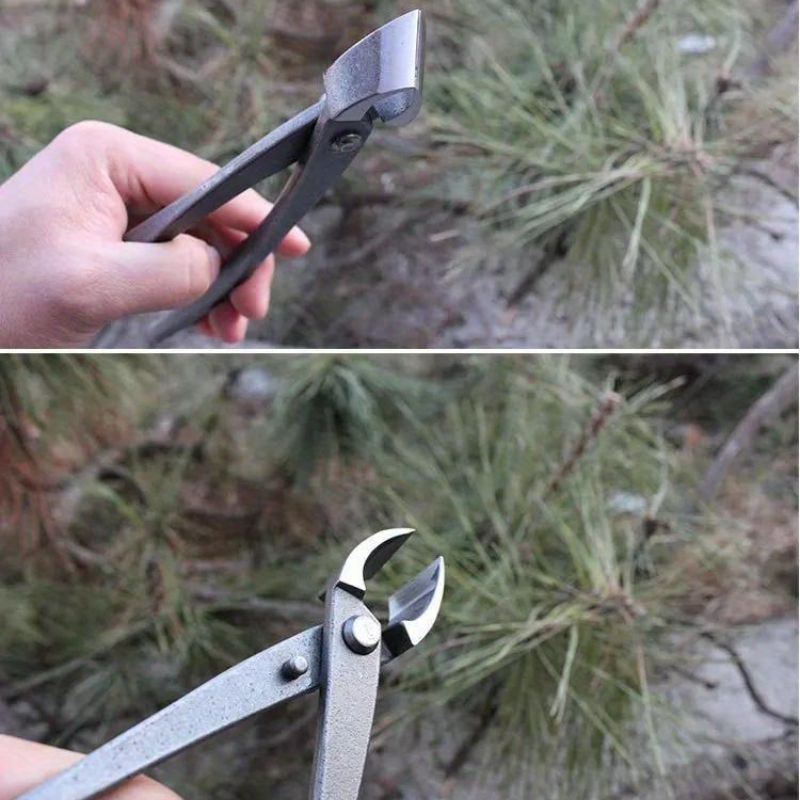 Taglierina per bottoni bonsai  - Concave Branch Cutter recensione e prezzo