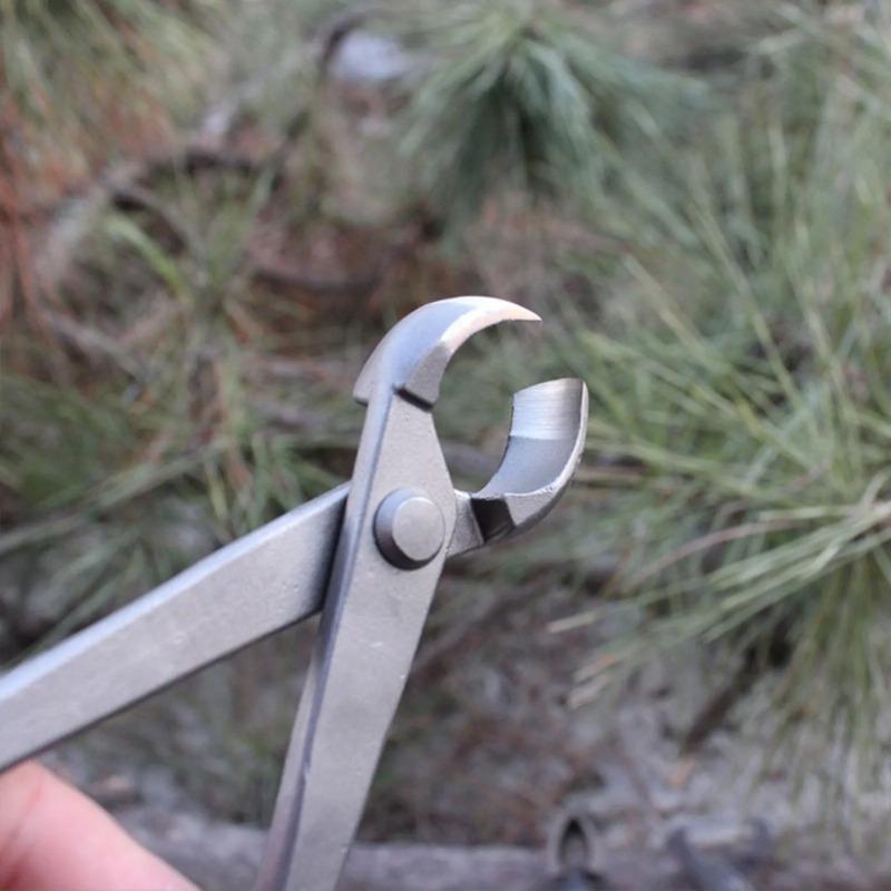 Taglierina per bottoni bonsai  - Concave Branch Cutter recensione e prezzo