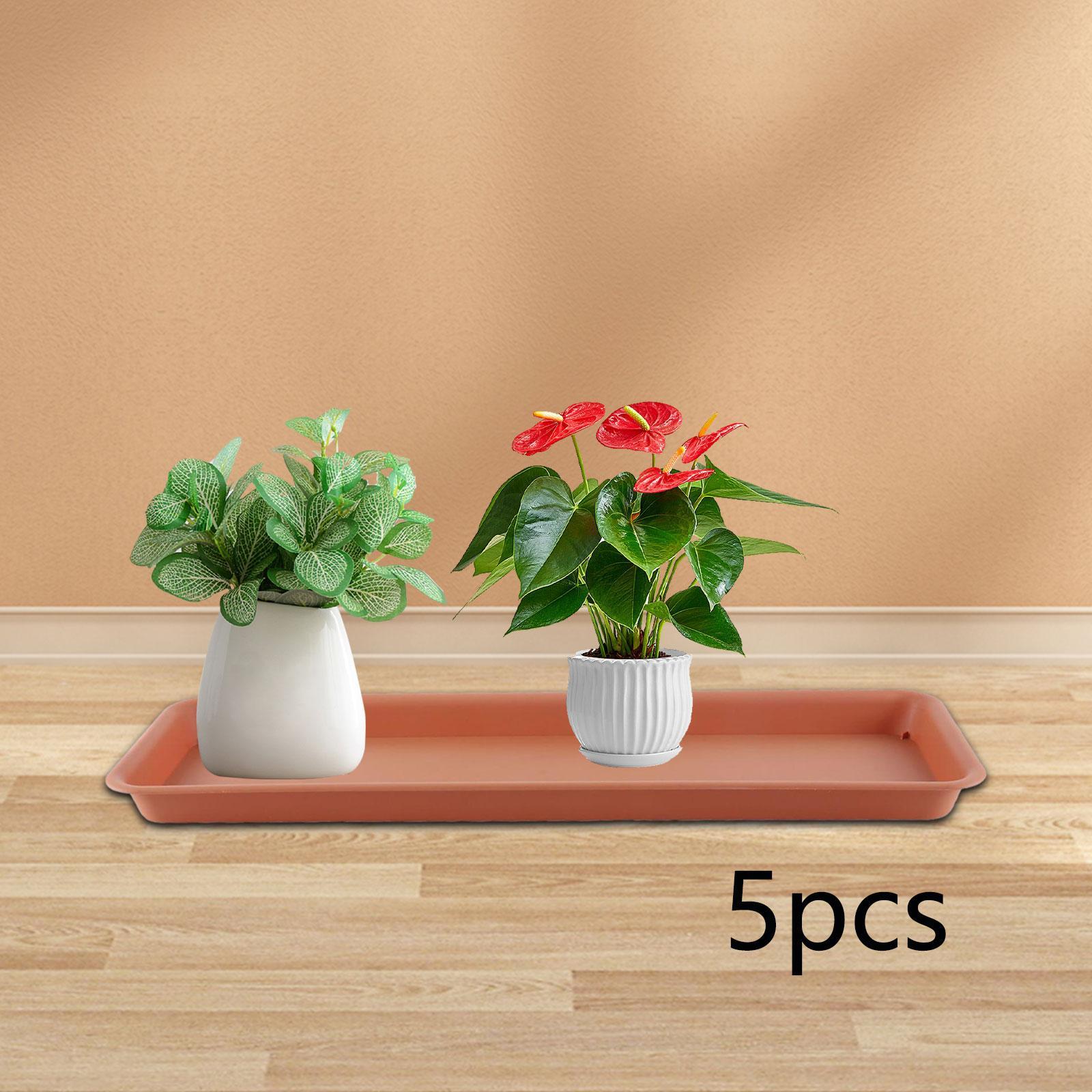 Vaso Alto per Terrazza, Fiorie - Drip Tray Saucer recensione e prezzo