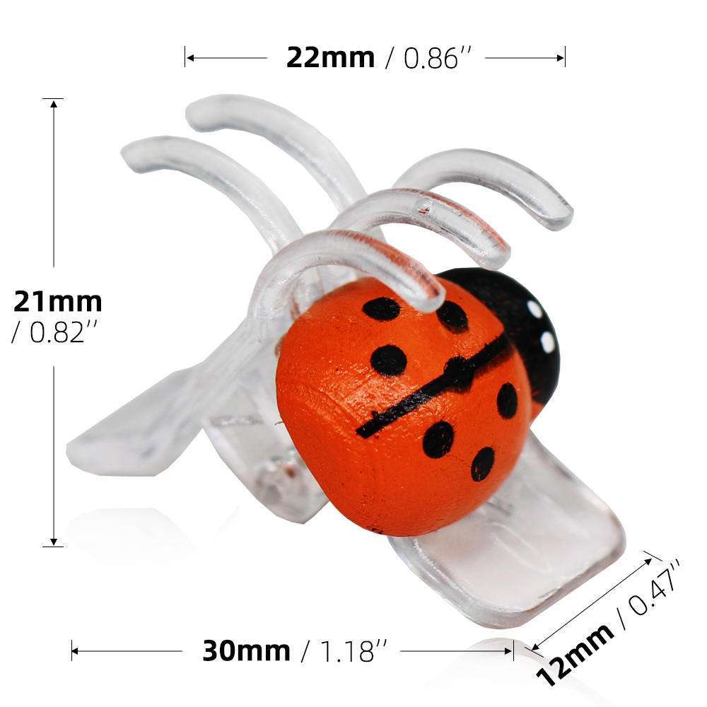 10-800 PZ Coccinella Orchidea  - Bonsai Garden Home recensione e prezzo