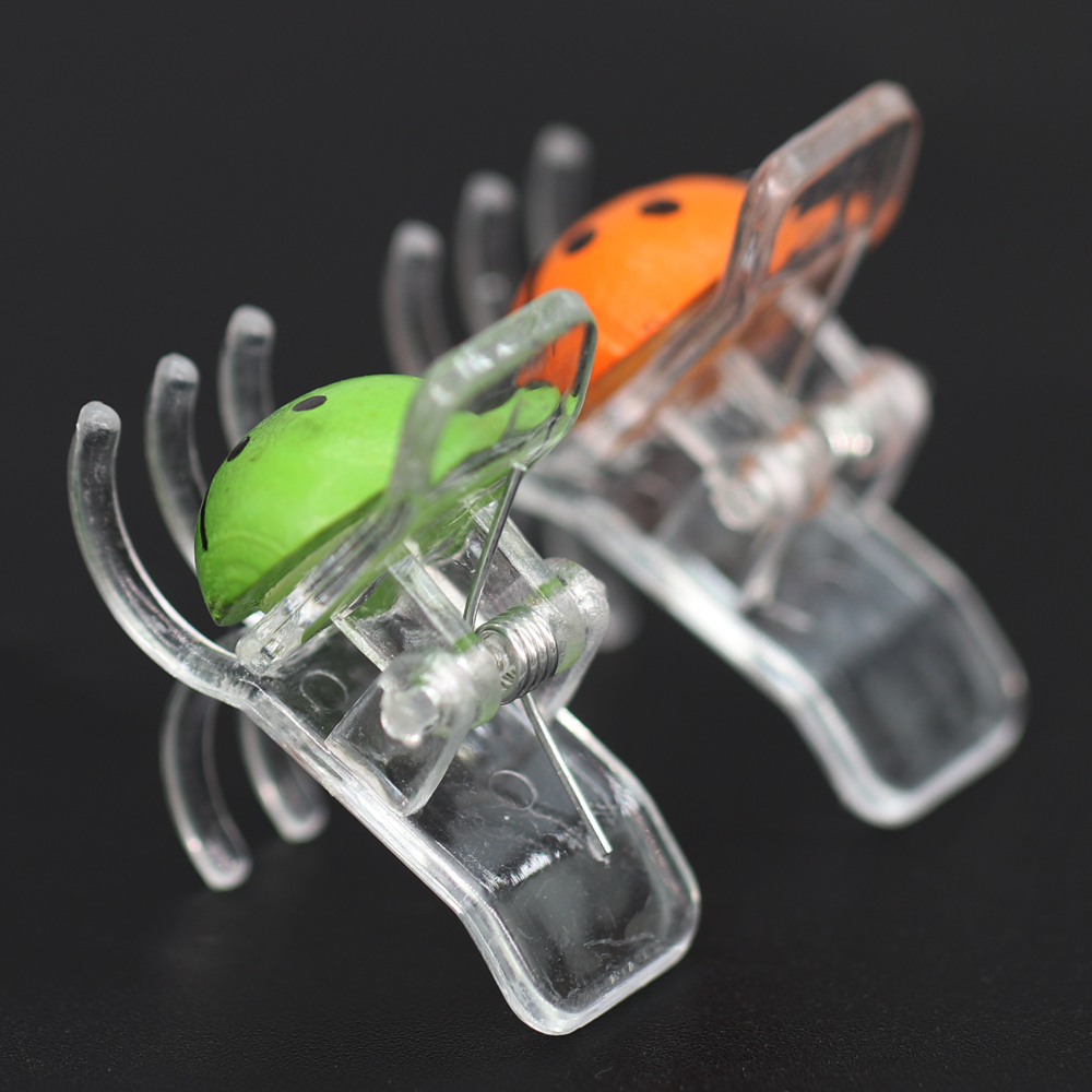 10-800 PZ Coccinella Orchidea  - Bonsai Garden Home recensione e prezzo