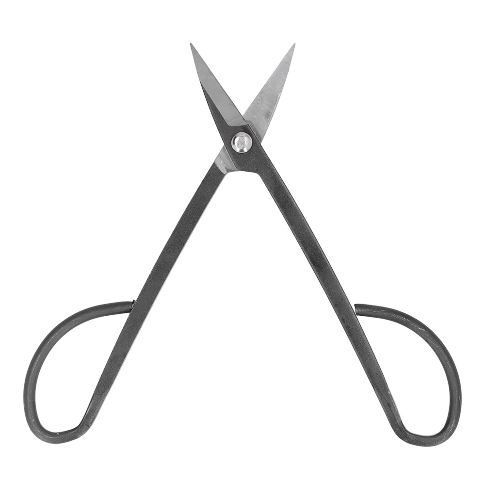 Forbici per bonsai in acciaio  - Concave Branch Cutter recensione e prezzo