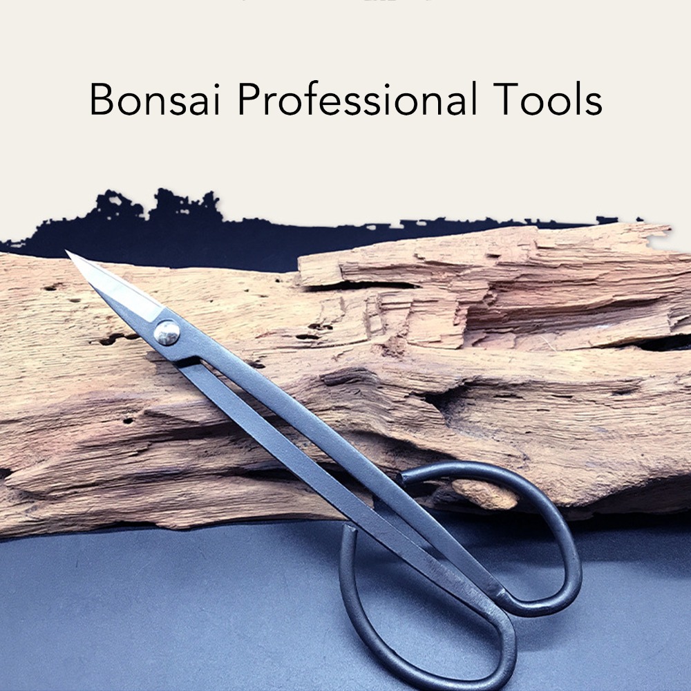 Forbici per bonsai in acciaio  - Concave Branch Cutter recensione e prezzo