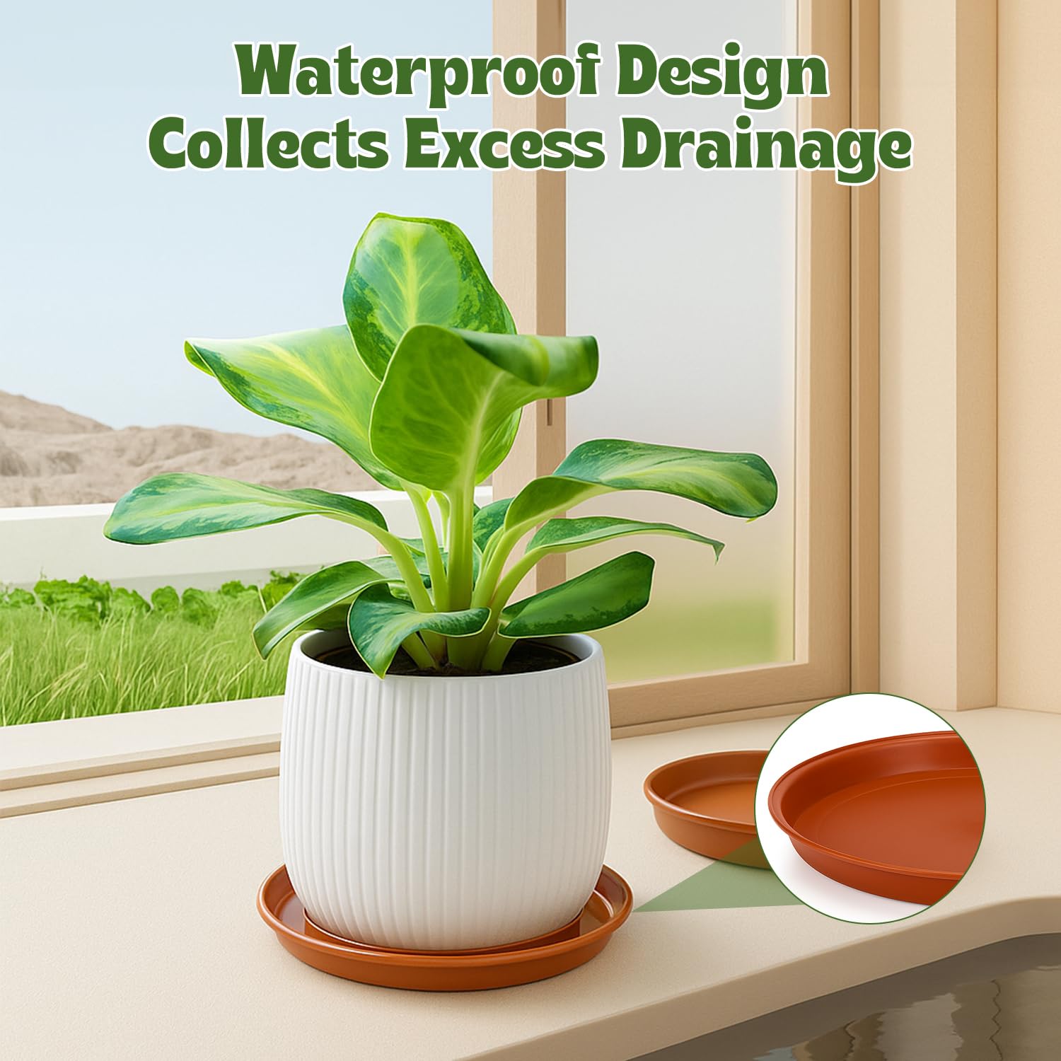 Confezione da 12 piattini per  - Drip Tray Saucer recensione e prezzo