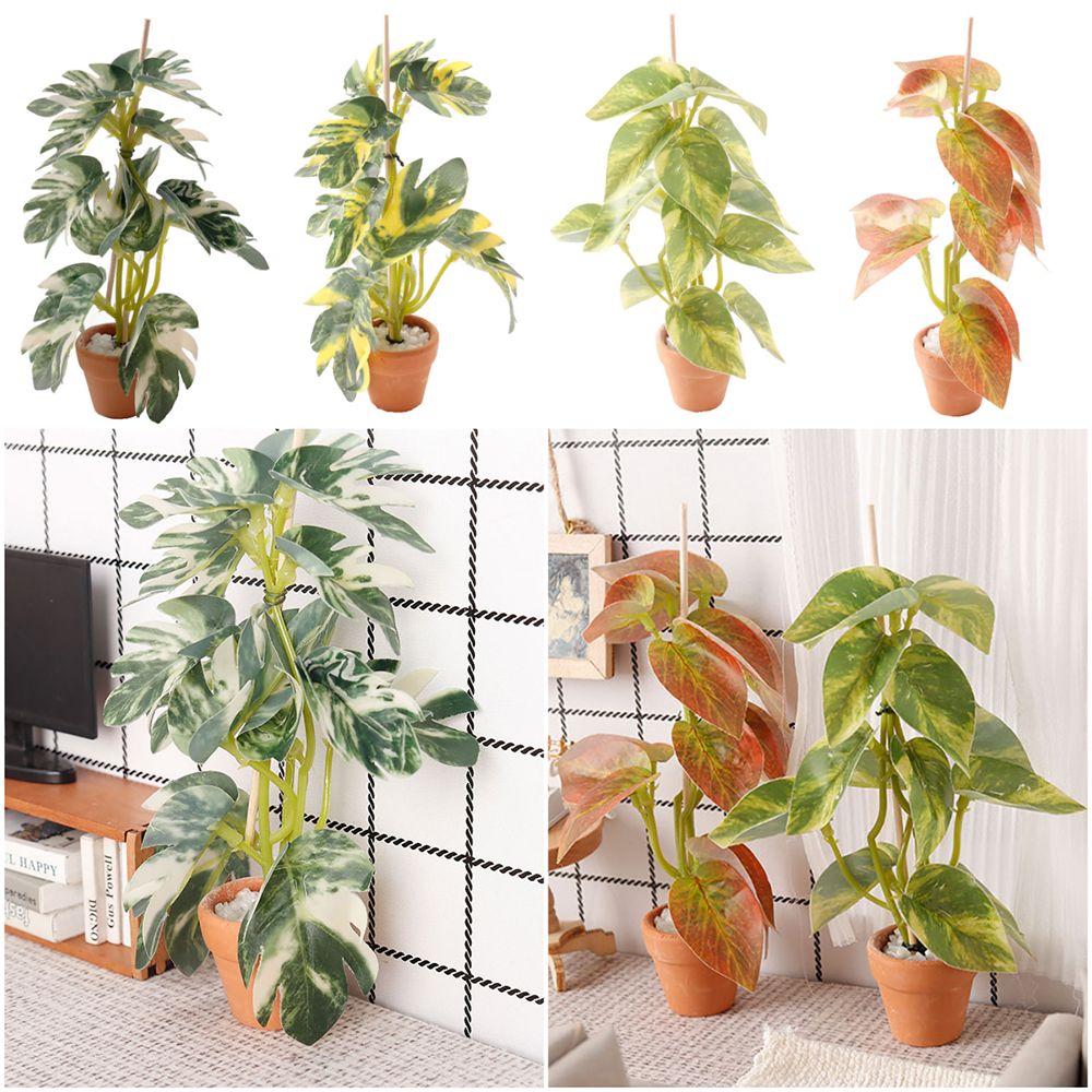 Modellino Creativo 1:12 di Bon - Bonsai Garden House recensione e prezzo