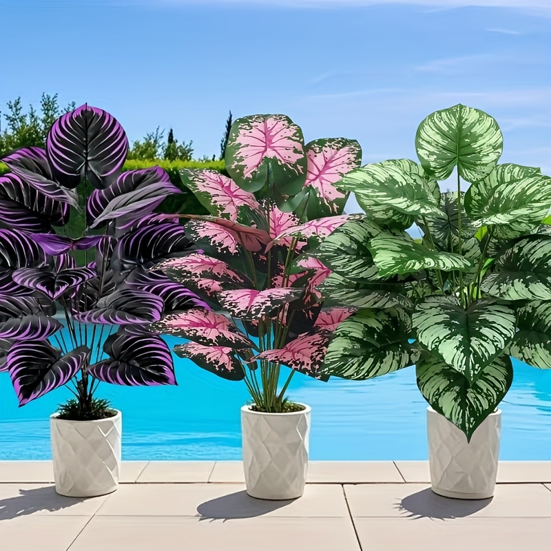 3 pz 60 cm Grande Pianta Verde - Bonsai Garden Home recensione e prezzo