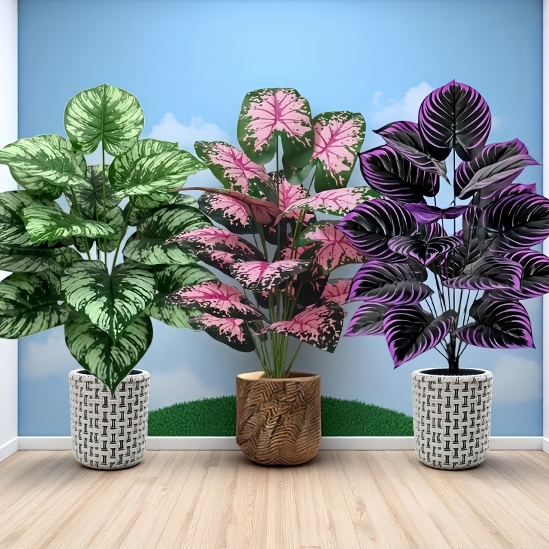 3 pz 60 cm Grande Pianta Verde - Bonsai Garden Home recensione e prezzo