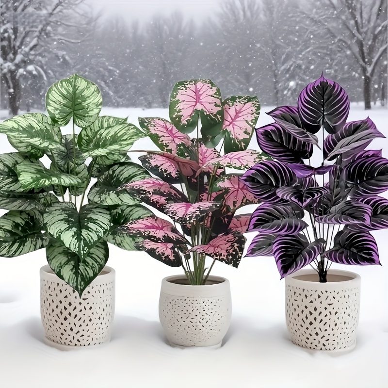 3 pz 60 cm Grande Pianta Verde - Bonsai Garden Home recensione e prezzo