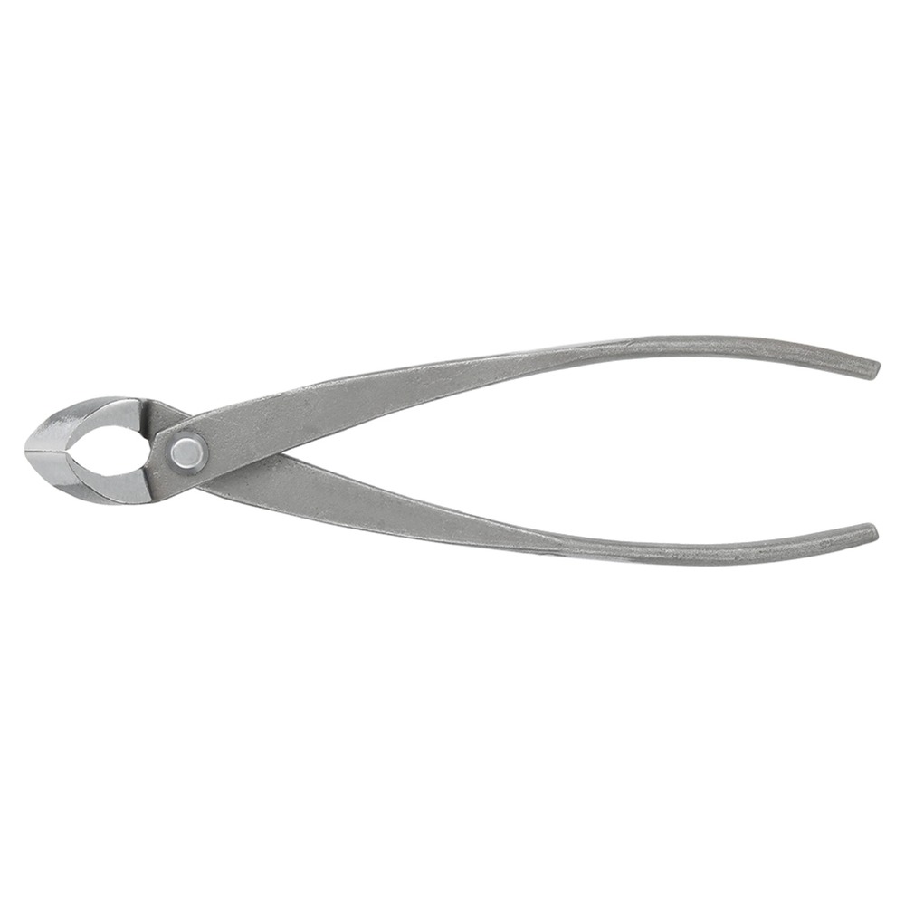 Tagliarami per bonsai in accia - Concave Branch Cutter recensione e prezzo