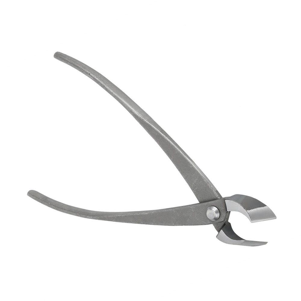 Tagliarami per bonsai in accia - Concave Branch Cutter recensione e prezzo