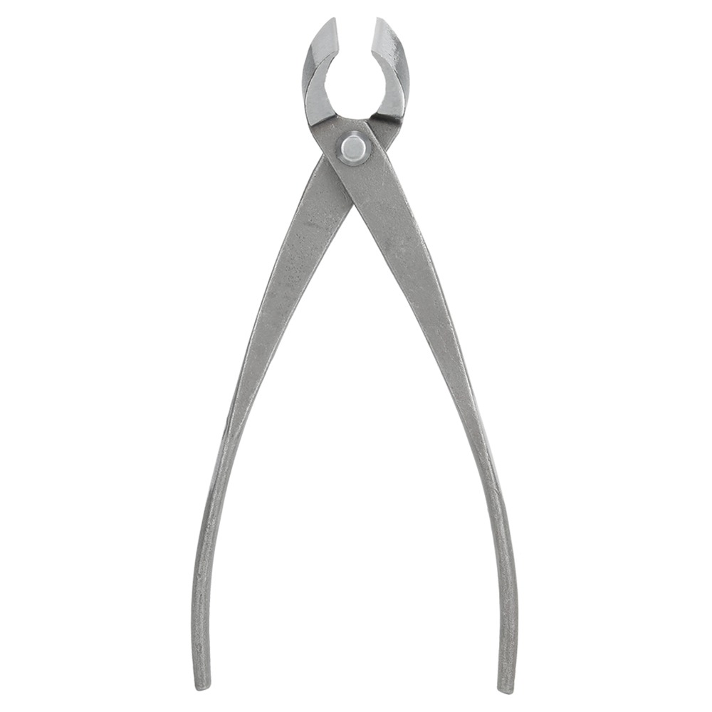 Tagliarami per bonsai in accia - Concave Branch Cutter recensione e prezzo