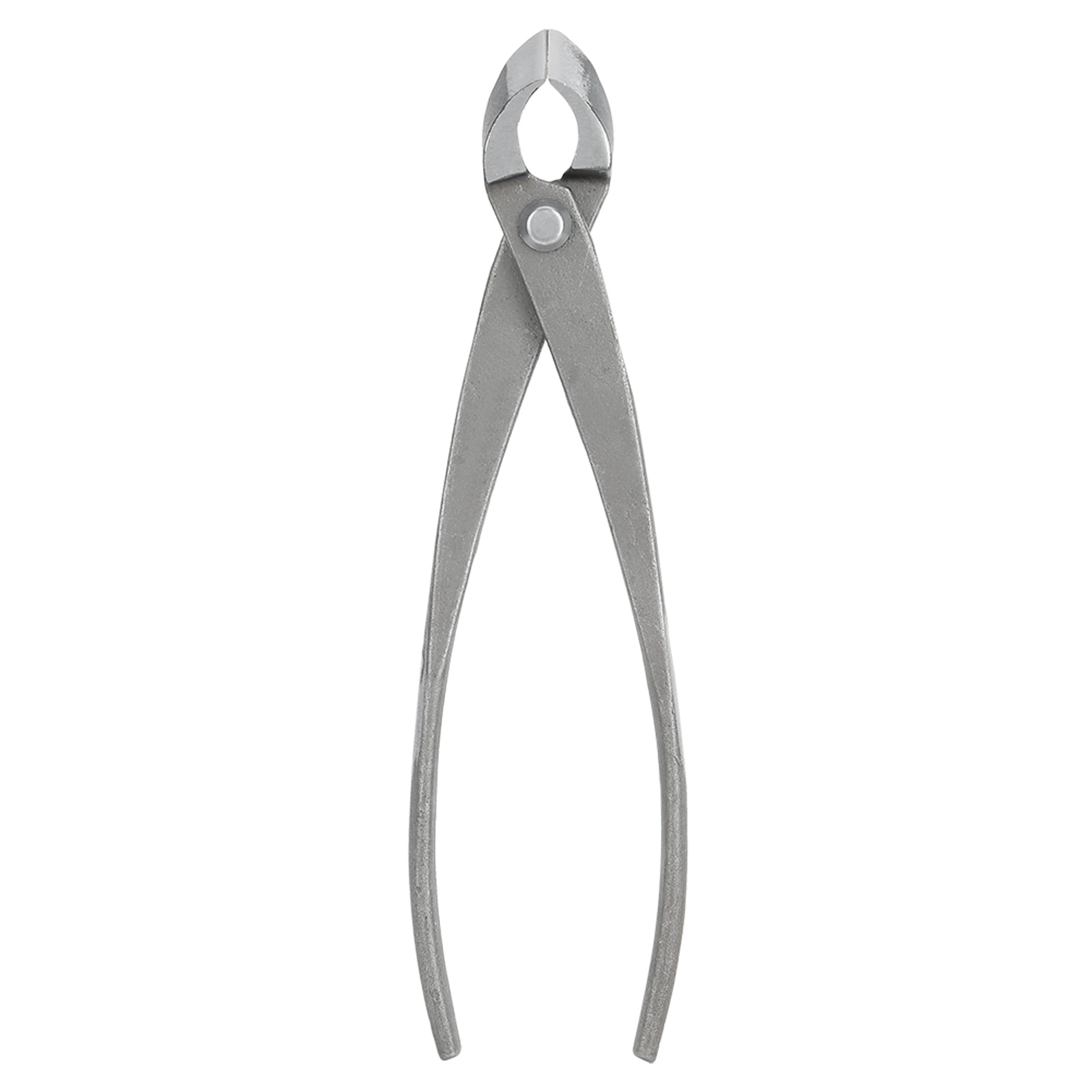 Taglierina per bonsai Cesoie d - Concave Branch Cutter recensione e prezzo