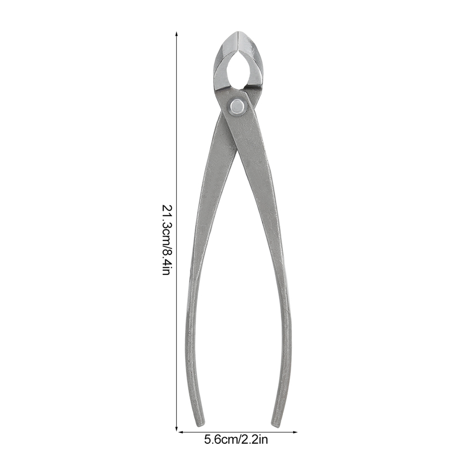 Taglierina per bonsai Cesoie d - Concave Branch Cutter recensione e prezzo