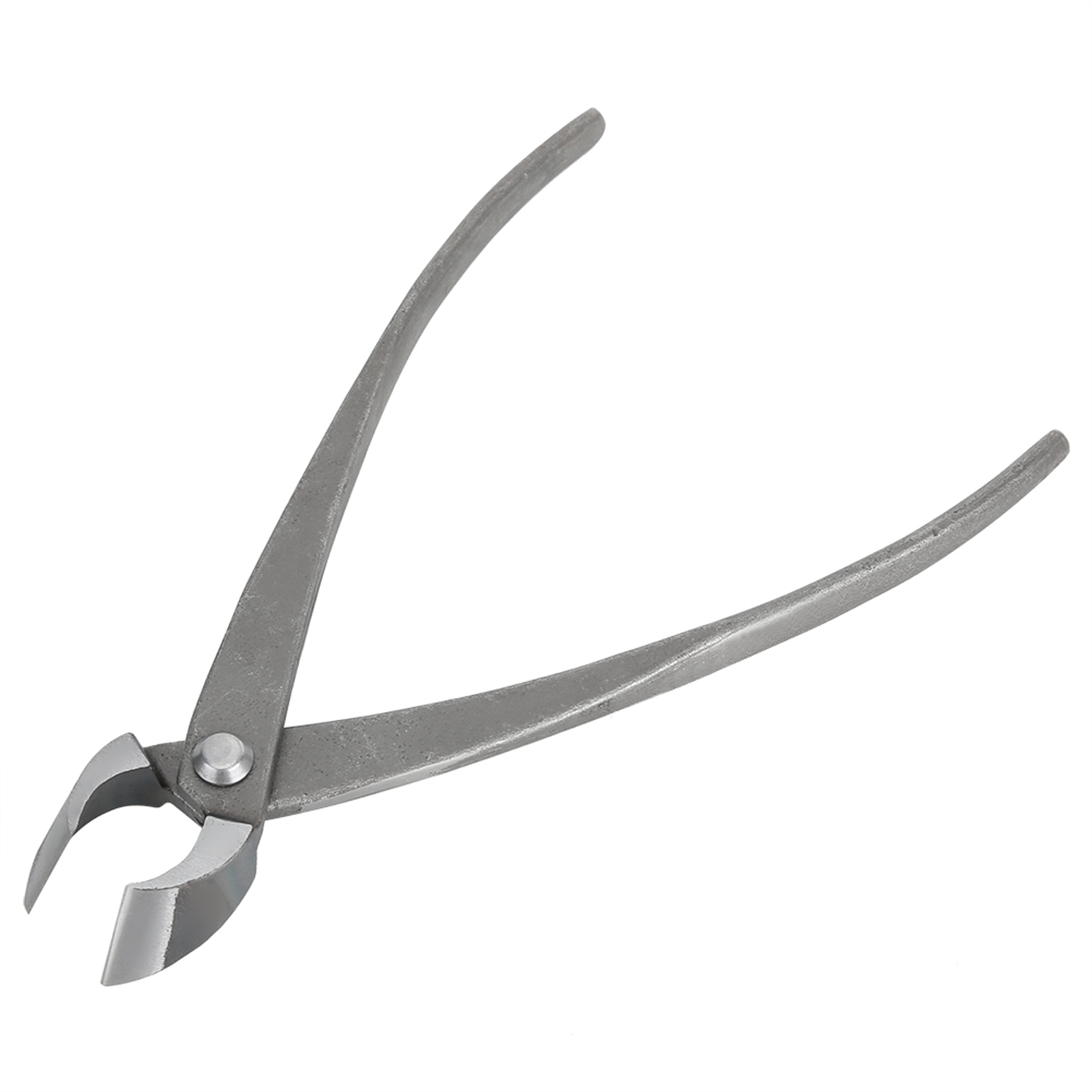 Taglierina per bonsai Cesoie d - Concave Branch Cutter recensione e prezzo
