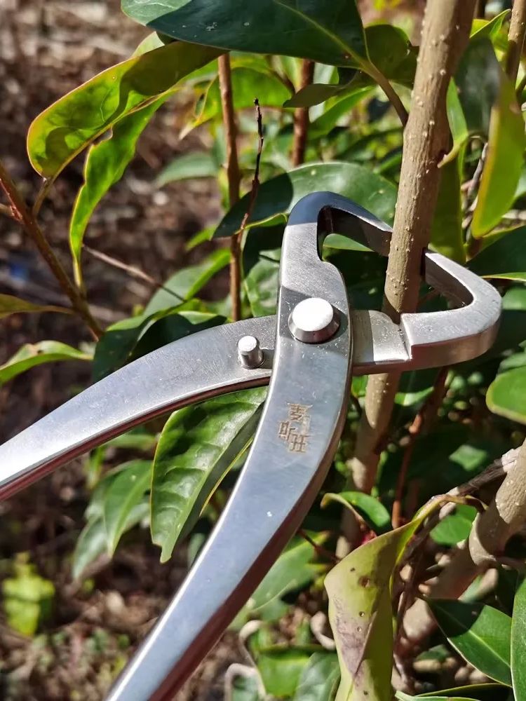 Set Professionale di Attrezzi  - Concave Branch Cutter recensione e prezzo