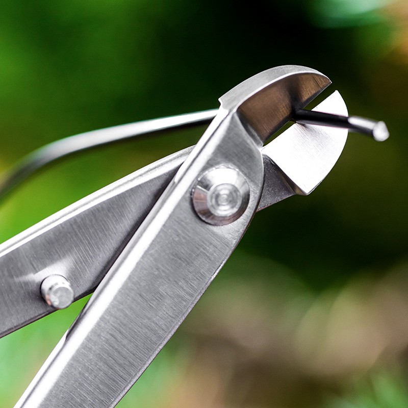 Set Professionale di Attrezzi  - Concave Branch Cutter recensione e prezzo