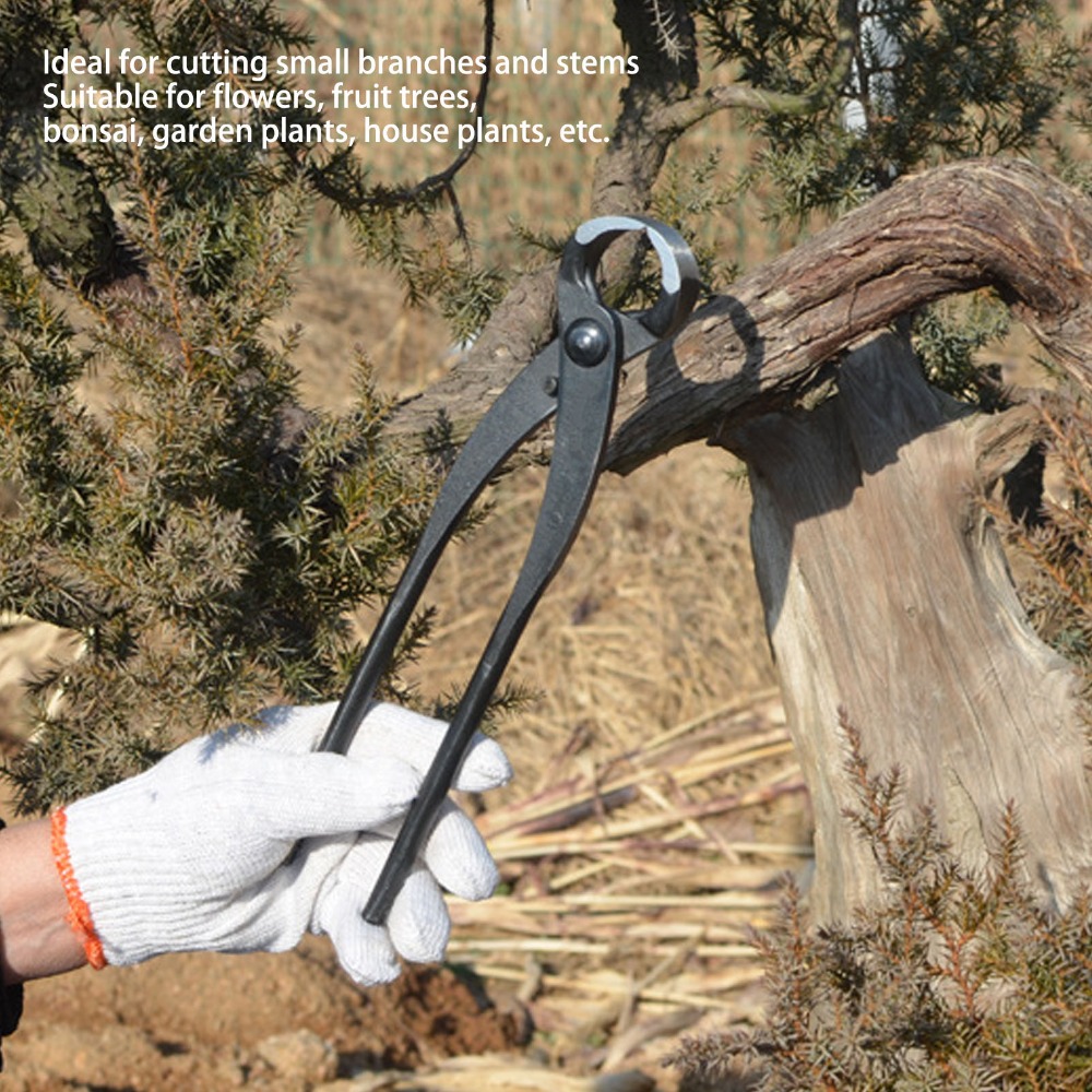Tronchese Professionale per Bo - Concave Branch Cutter recensione e prezzo