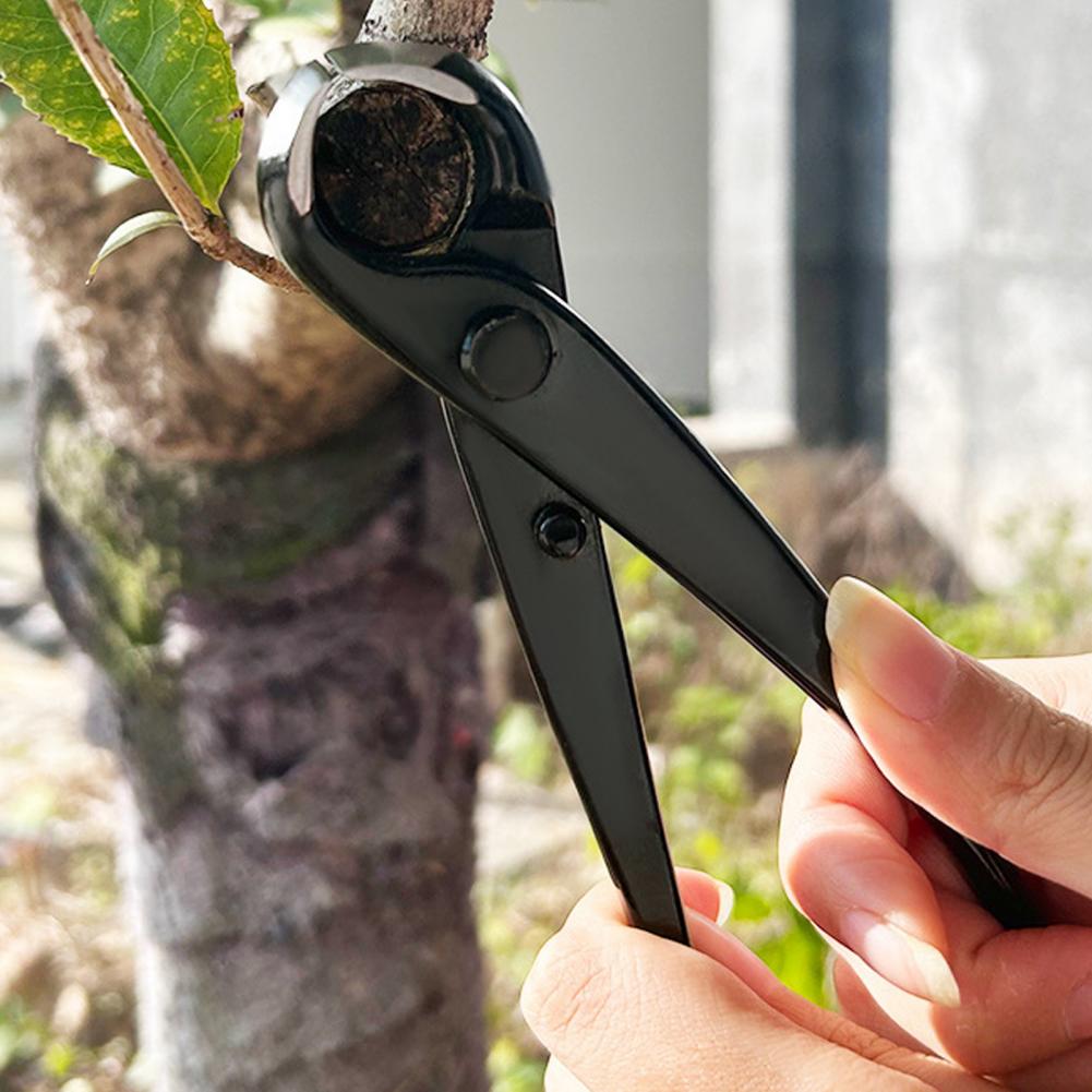 Bonsai Concavo Ramo Cutter Acc - Concave Branch Cutter recensione e prezzo