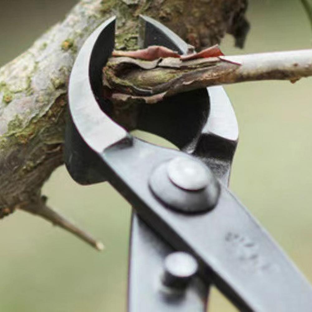 Bonsai Concavo Ramo Cutter Acc - Concave Branch Cutter recensione e prezzo