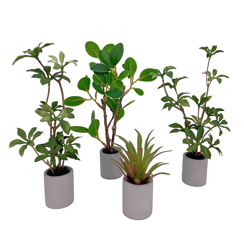 1:6 Casa delle bambole in mini - Bonsai Garden Home recensione e prezzo
