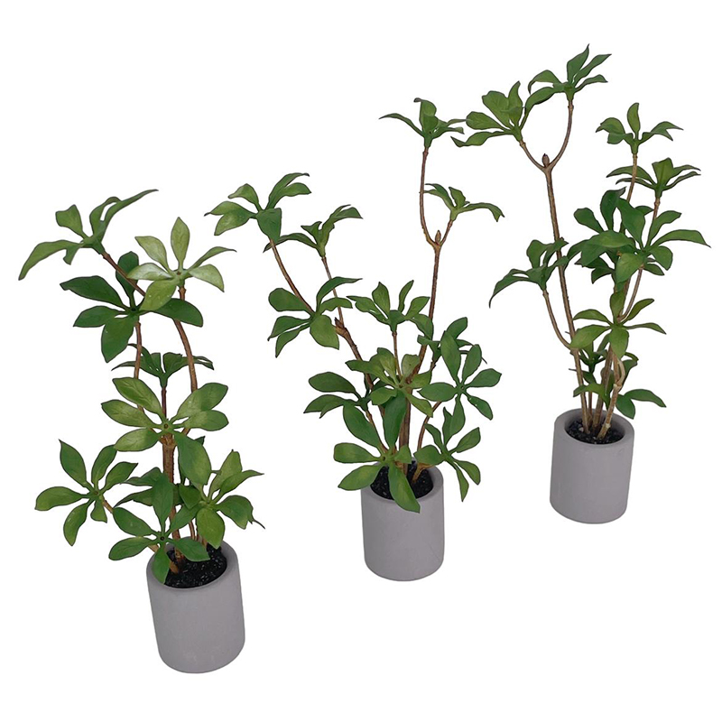 1:6 Casa delle bambole in mini - Bonsai Garden Home recensione e prezzo