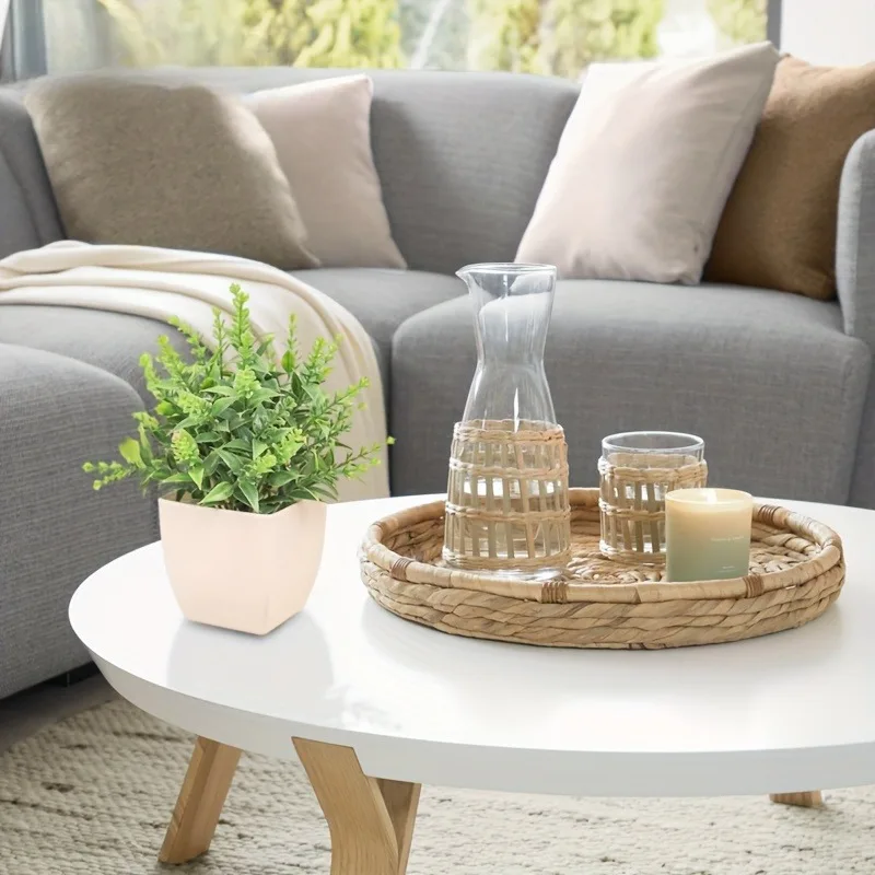 Commercio all'ingrosso Bonsai  - Bonsai Garden Home recensione e prezzo