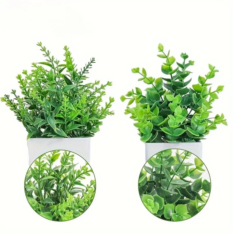 Commercio all'ingrosso Bonsai  - Bonsai Garden Home recensione e prezzo