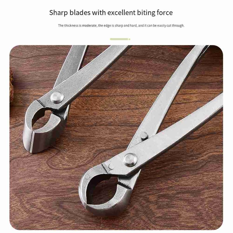 Set di attrezzi per bonsai SHG - Concave Branch Cutter recensione e prezzo