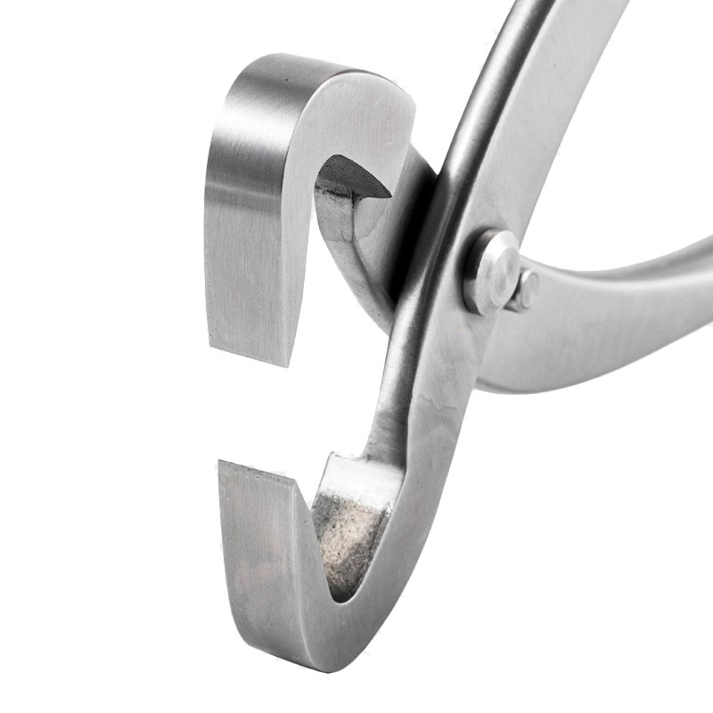 2 pz 210mm In Acciaio Inox Bon - Concave Branch Cutter recensione e prezzo