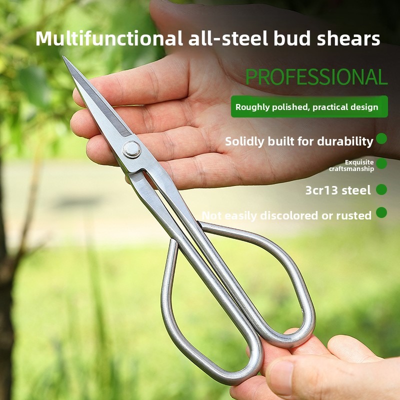 Forbici per foglie tenere Stru - Concave Branch Cutter recensione e prezzo