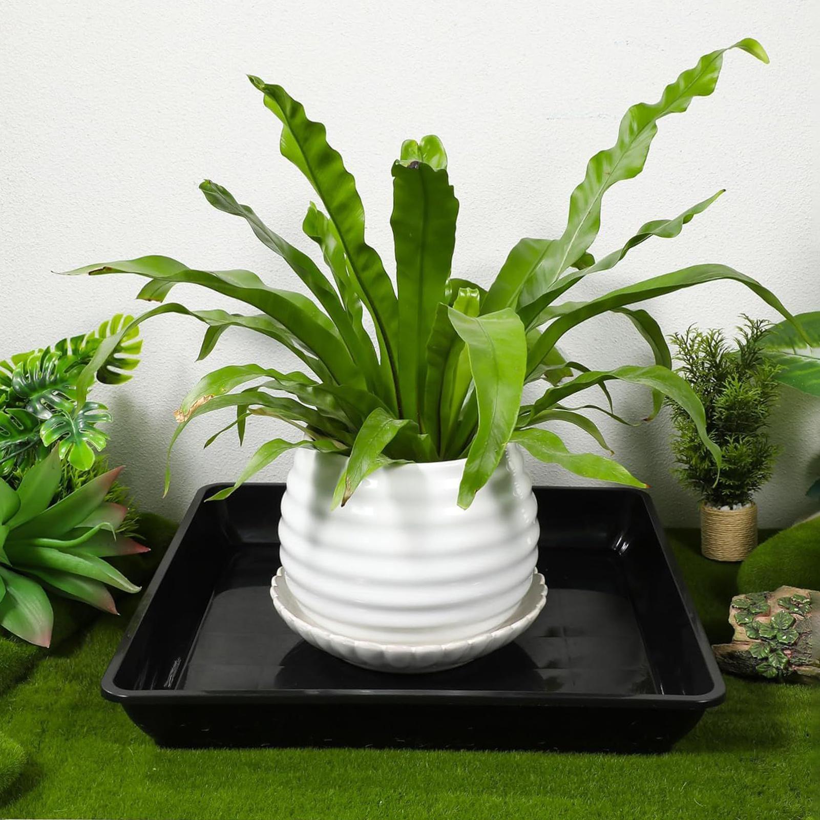 2 pezzi vaso di fiori base add - Drip Tray Saucer recensione e prezzo