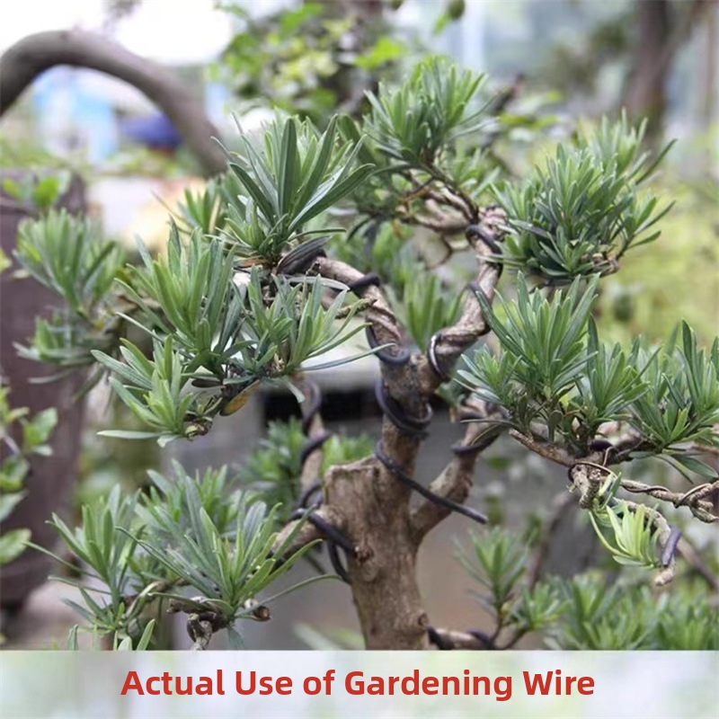 Fili per Bonsai da 1,5 mm in A - Bonsai Garden Home recensione e prezzo