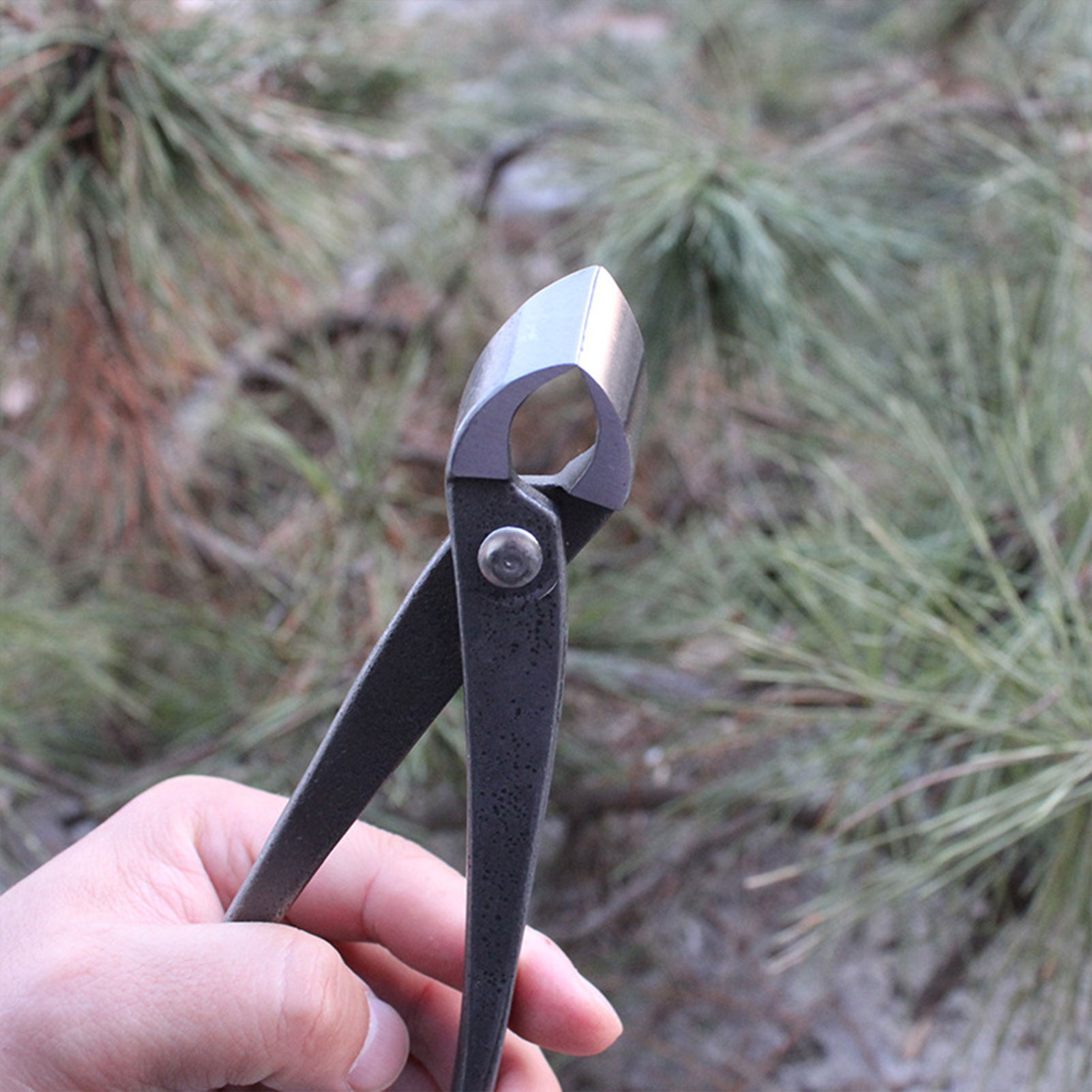 Taglierina per bottoni per bon - Concave Branch Cutter recensione e prezzo