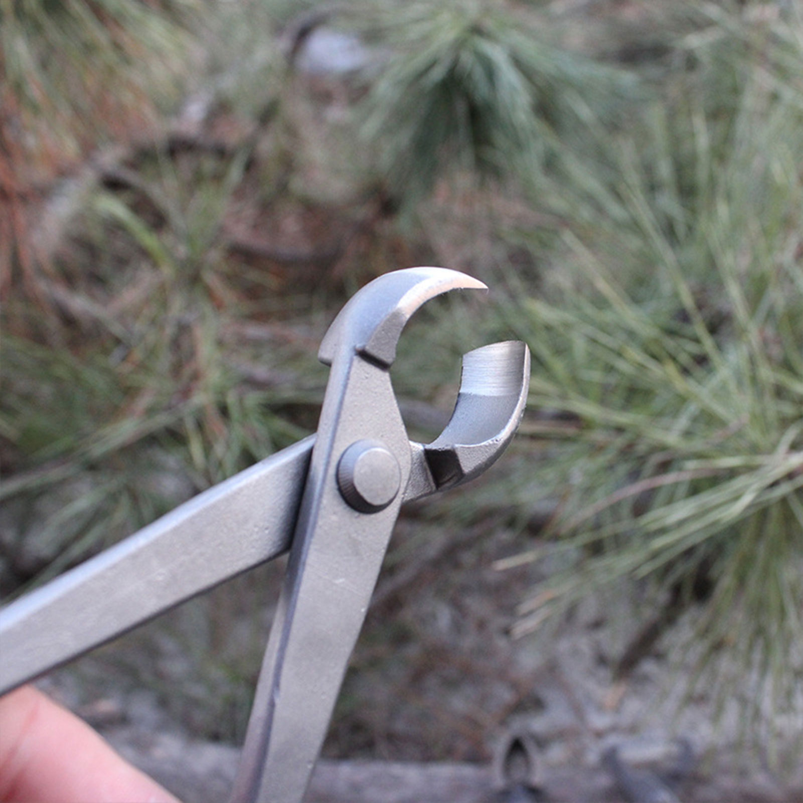 Taglierina per bottoni per bon - Concave Branch Cutter recensione e prezzo