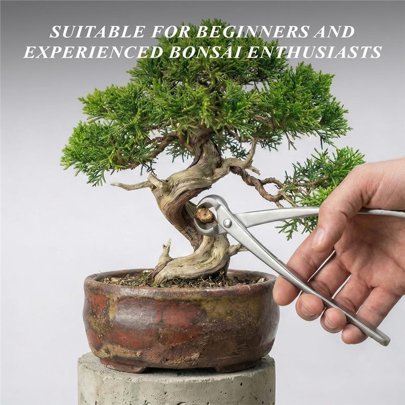 Set di Attrezzi per Bonsai AWA - Concave Branch Cutter recensione e prezzo
