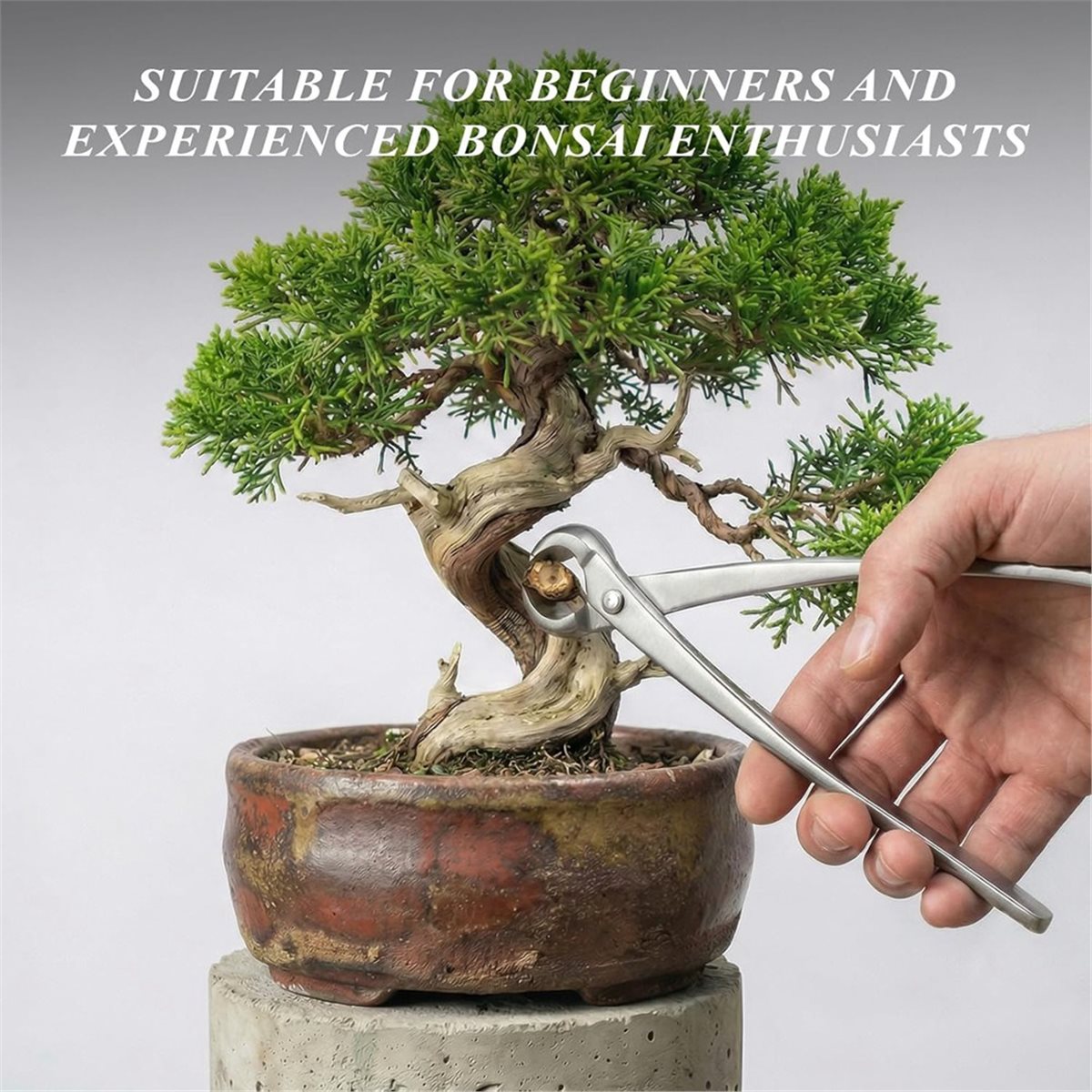 Set di Attrezzi per Bonsai AWA - Concave Branch Cutter recensione e prezzo