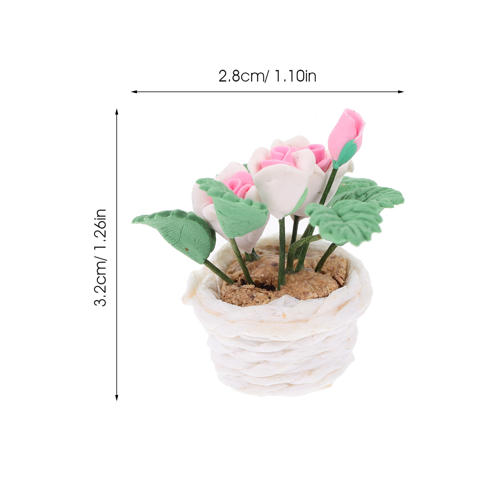 Piante Bonsai in Miniatura Rea - Bonsai Garden House recensione e prezzo