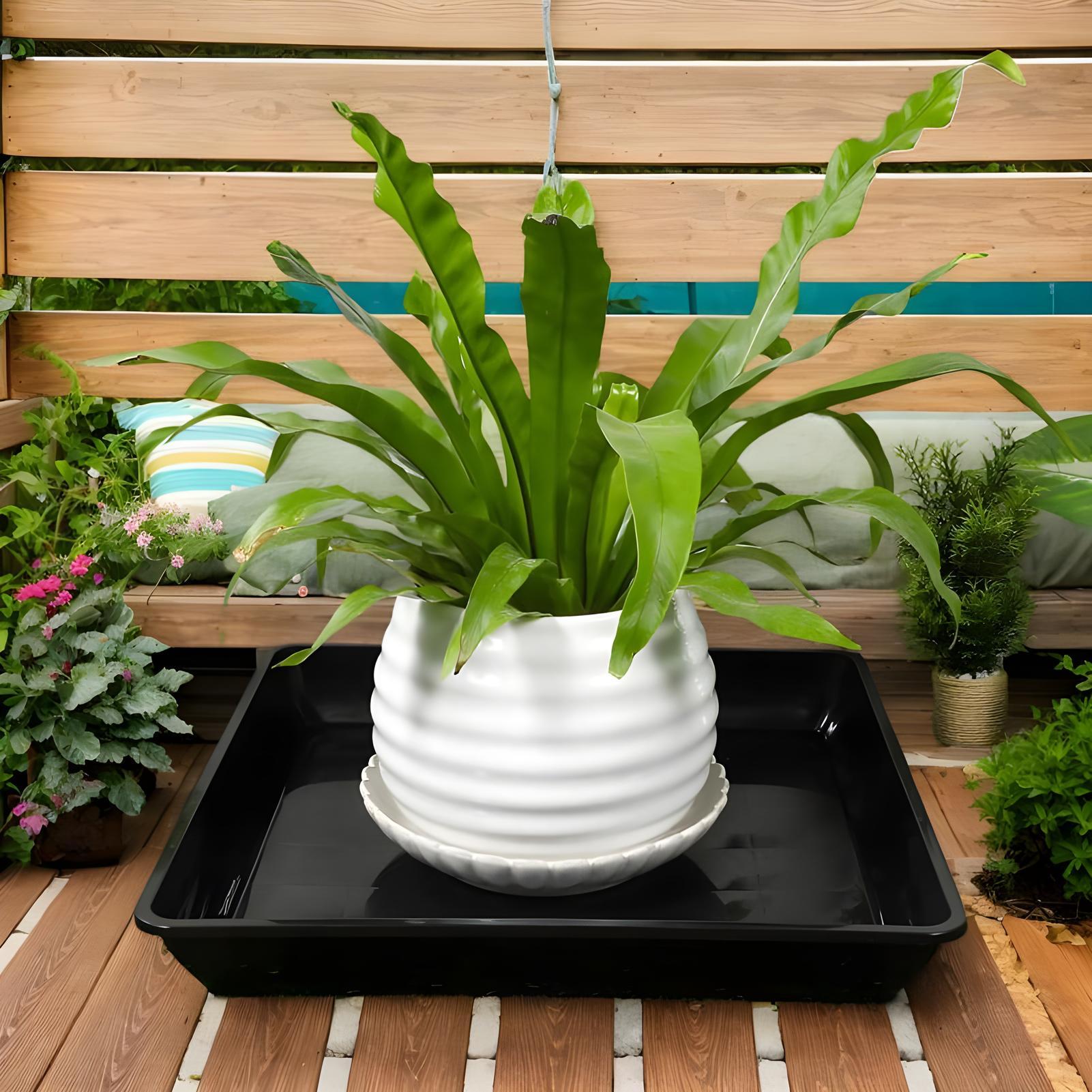 Sottovasi per Piante, Set da 2 - Drip Tray Saucer recensione e prezzo