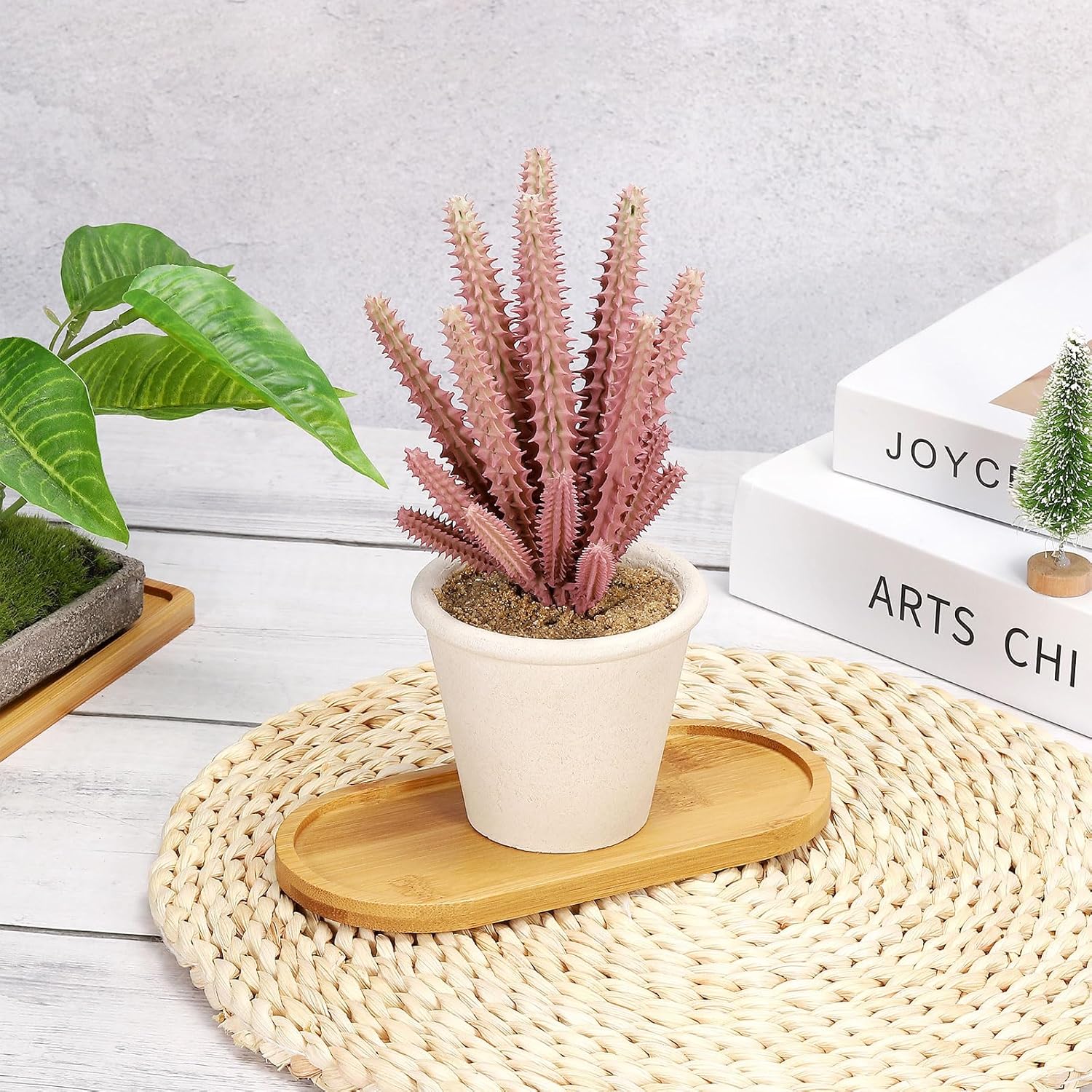 Set di 4 Sottovasi Ovali in Ba - Drip Tray Saucer recensione e prezzo
