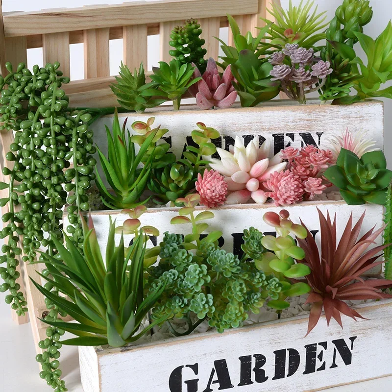 10/20 Pezzi Piante Succulente  - Bonsai Garden Home recensione e prezzo