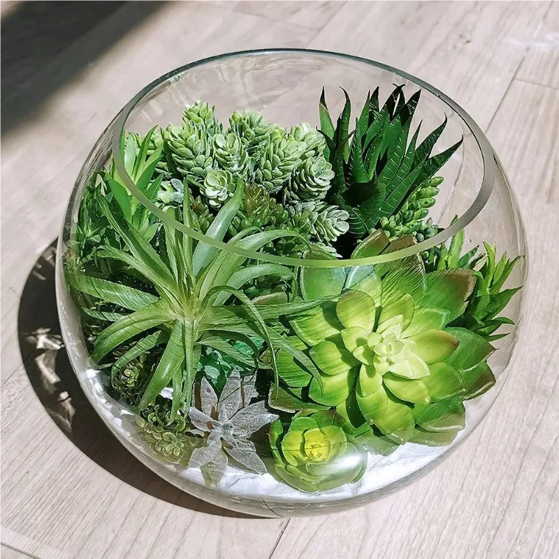 10/20 Pezzi Piante Succulente  - Bonsai Garden Home recensione e prezzo