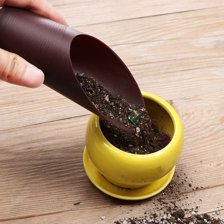 1 pz plastica terreno pala taz - Bonsai Garden Home recensione e prezzo
