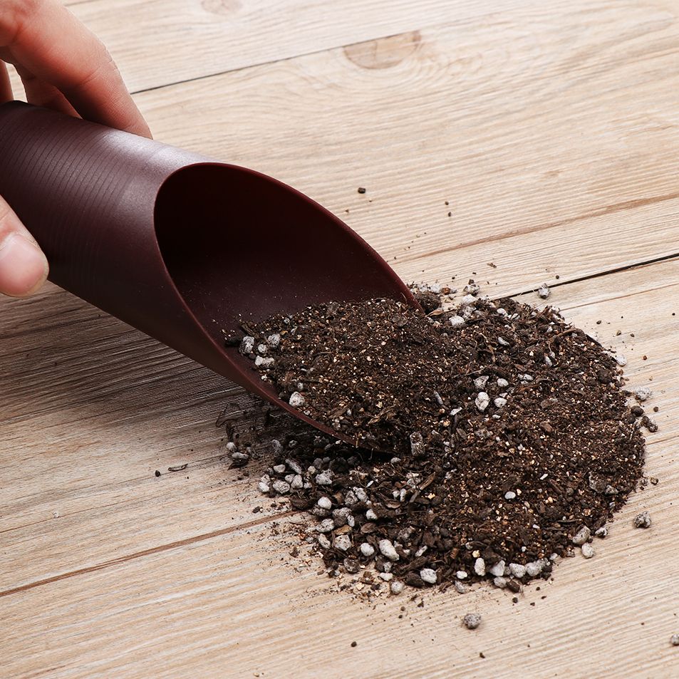 1 pz plastica terreno pala taz - Bonsai Garden Home recensione e prezzo